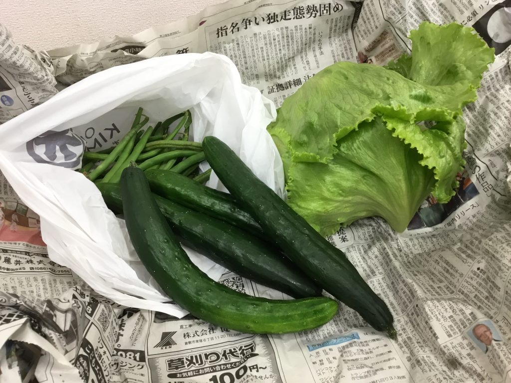 夏野菜２