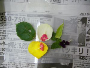 押し花の作品4番目