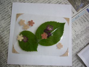 押し花の作品6番目