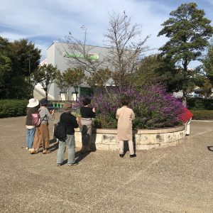 デジカメ撮影会ブログ用