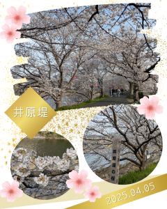 202504 井原堤