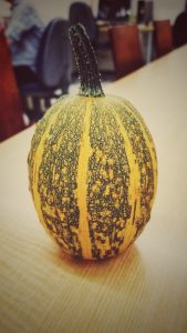 kabocha1