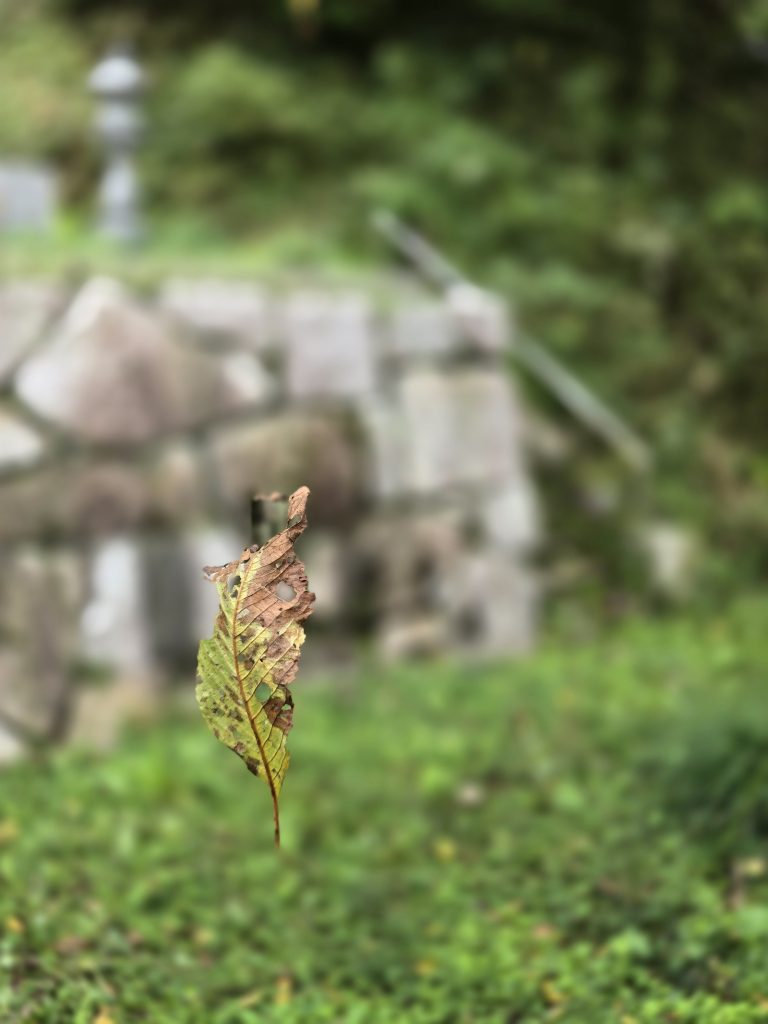 20251019_153611