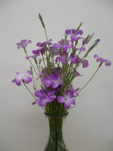 P1030488