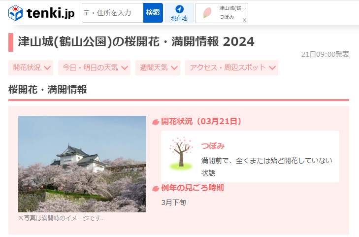 鶴山公園開花予想3月21日