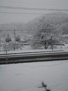 2019.4月1日　雪