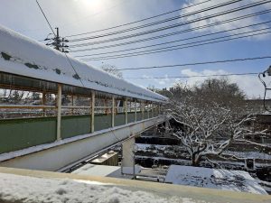 庄原12月22日