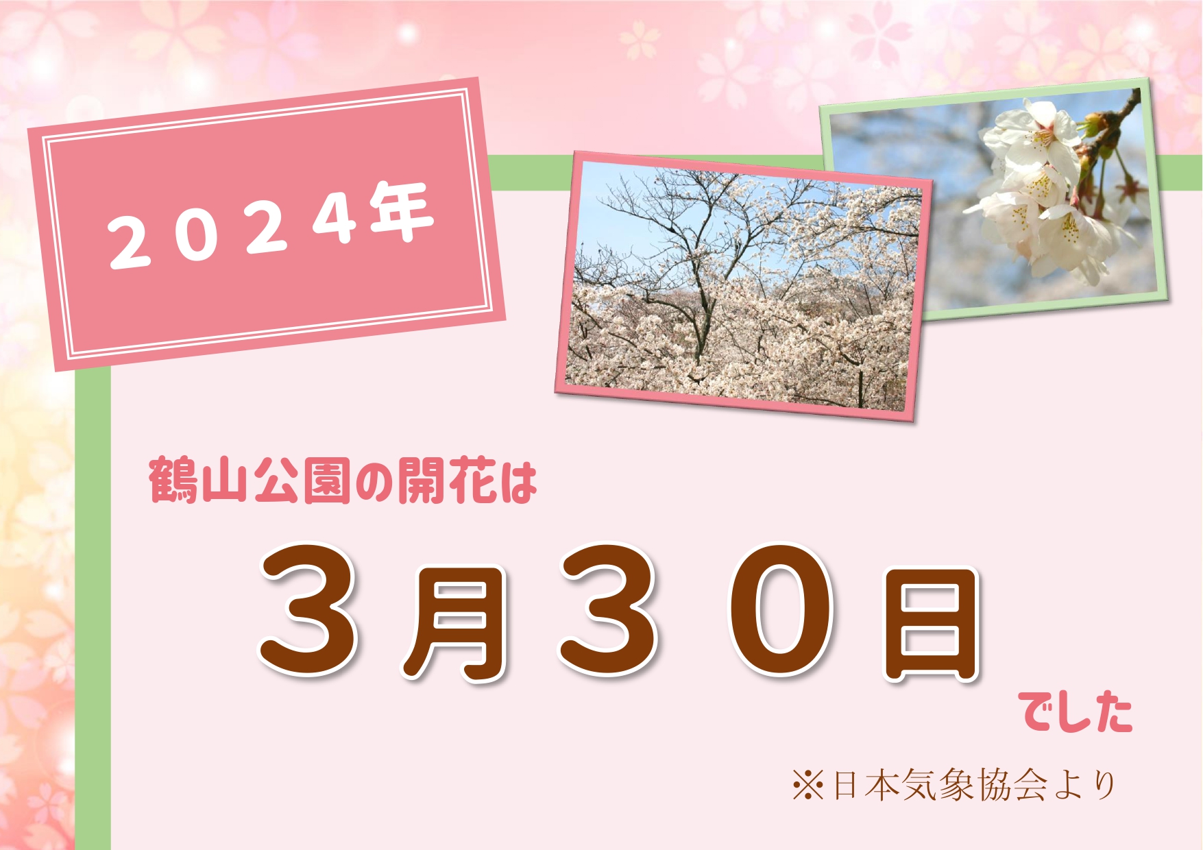 2024桜の開花発表