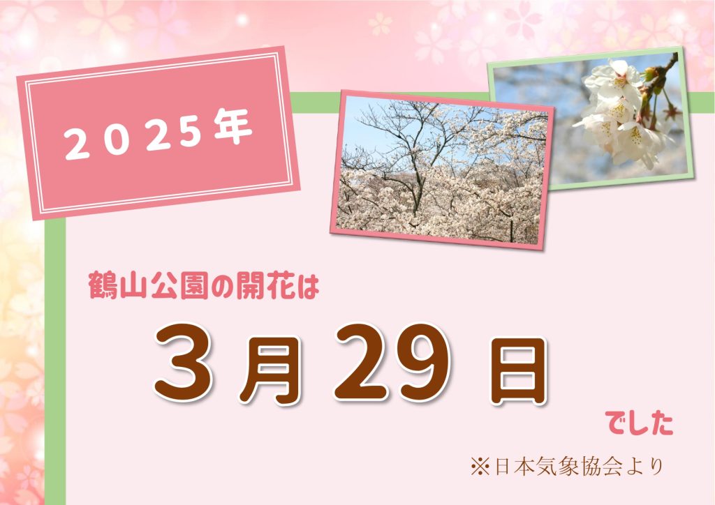 2025桜の開花発表_page-0001