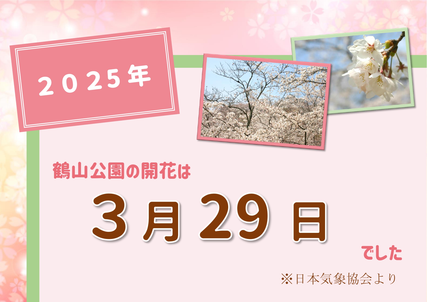 2025桜の開花発表_page-0001