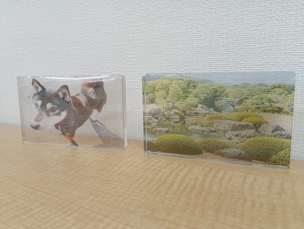 IMG_20260130_135007_1