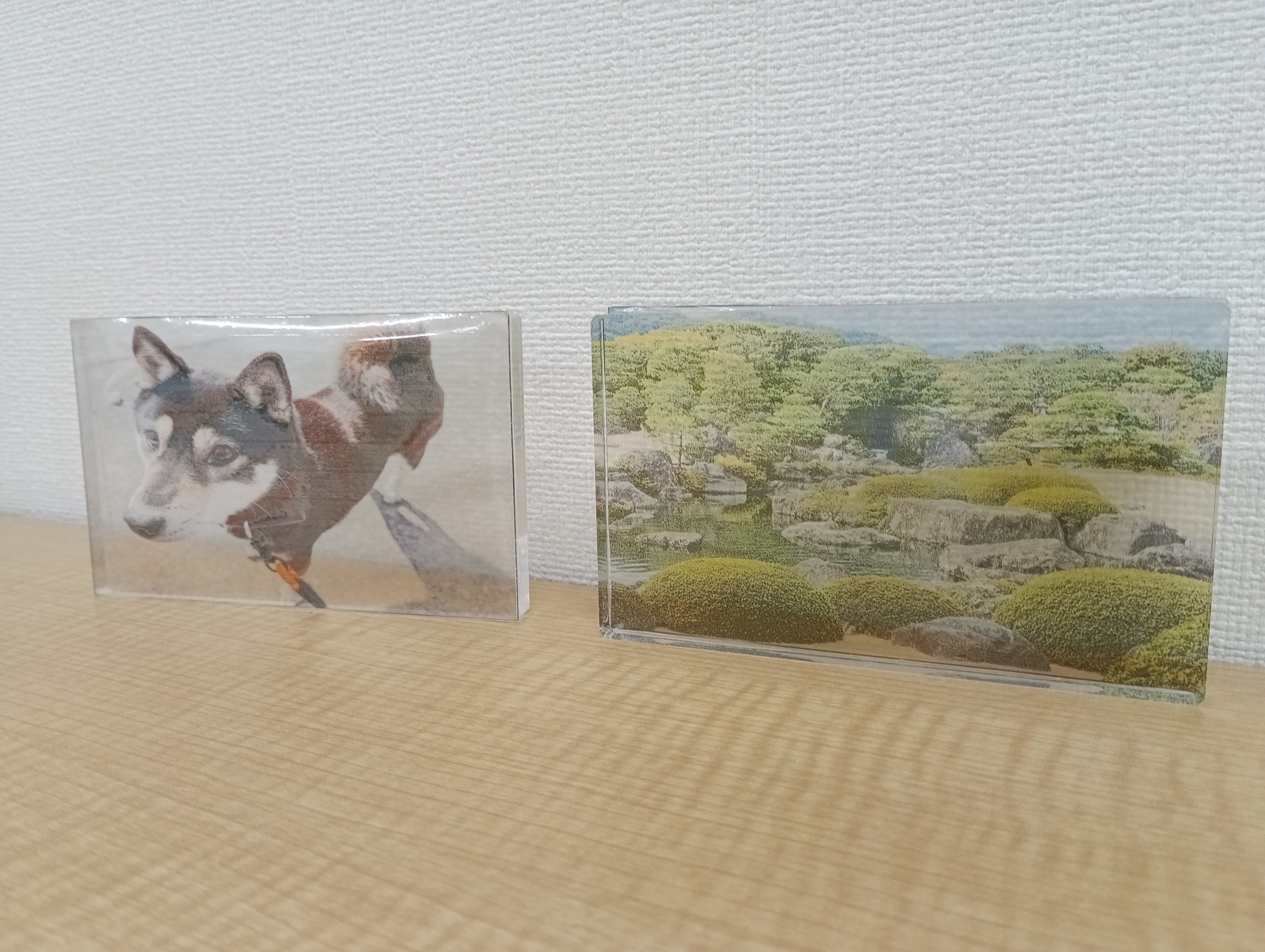 IMG_20260130_135007_1