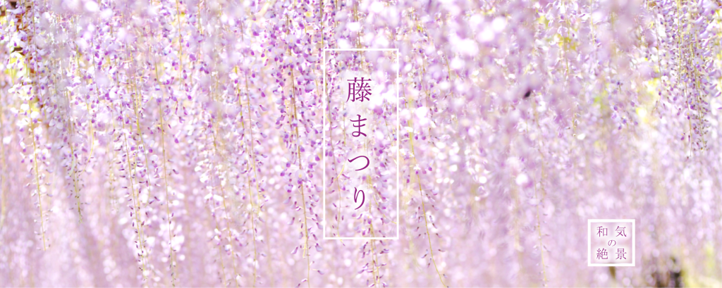 fujimaturi